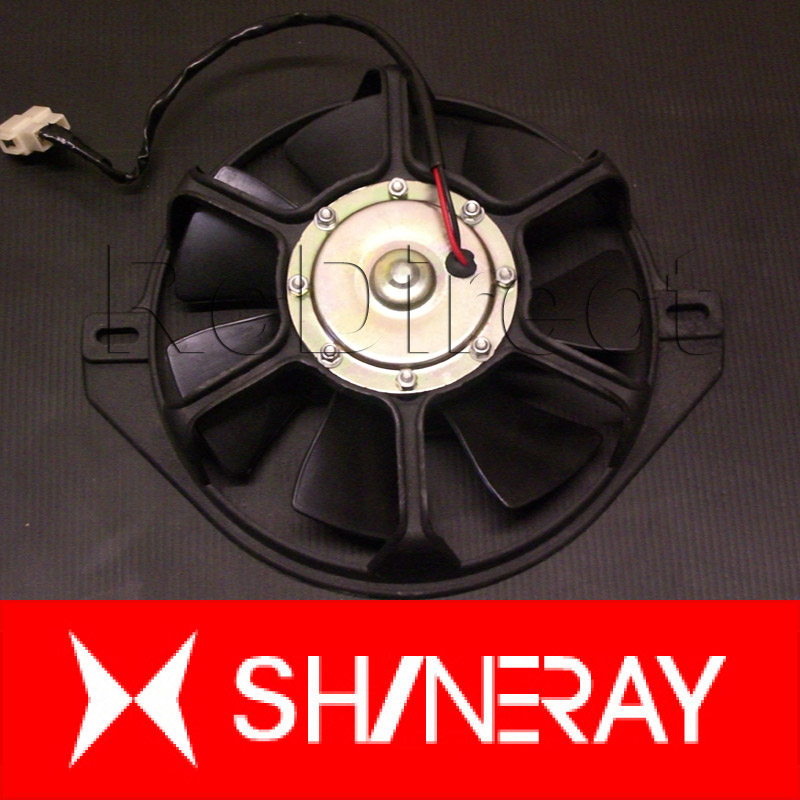 Fan Shineray XY250STXE